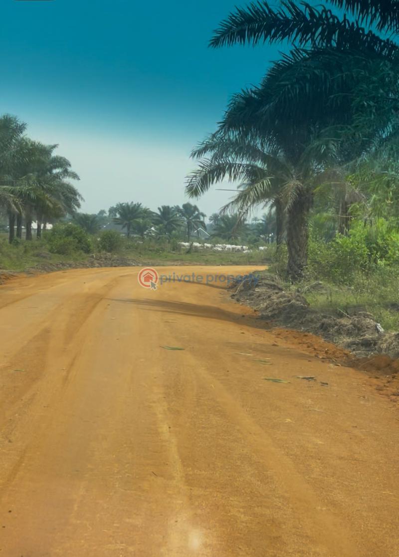 Mixed use Land For Sale Omagwa Station Road Rivers  - 2