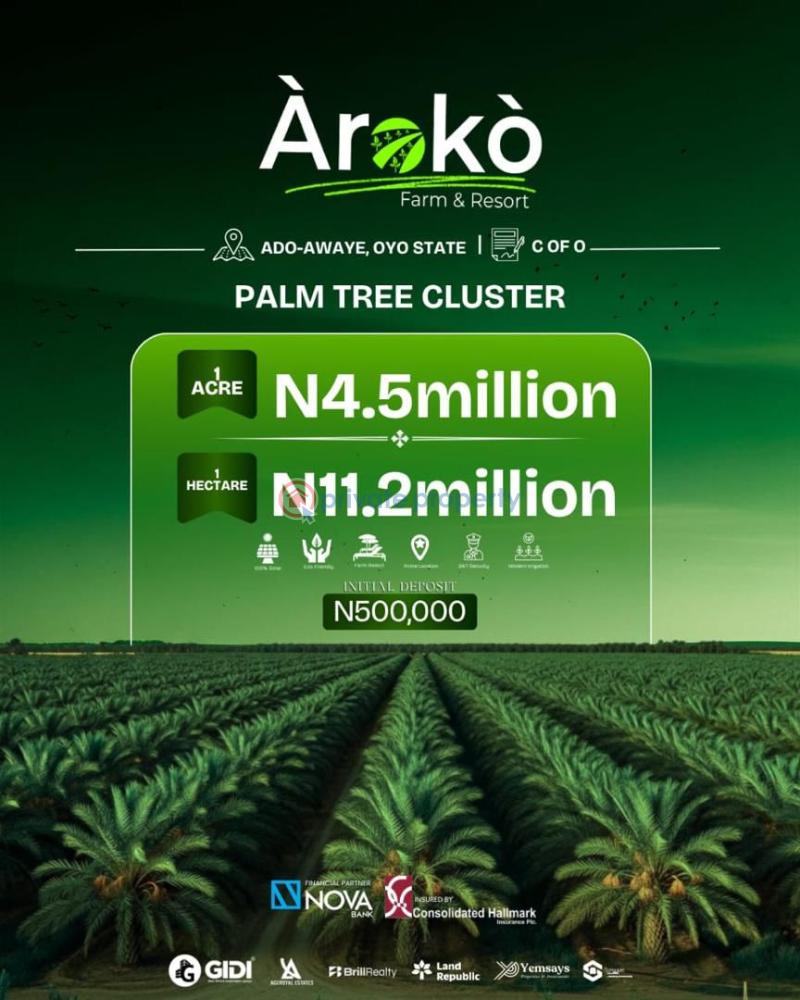 Commercial Land For Sale Aroko Farm Ado Awaye Oyo Oyo  - 0