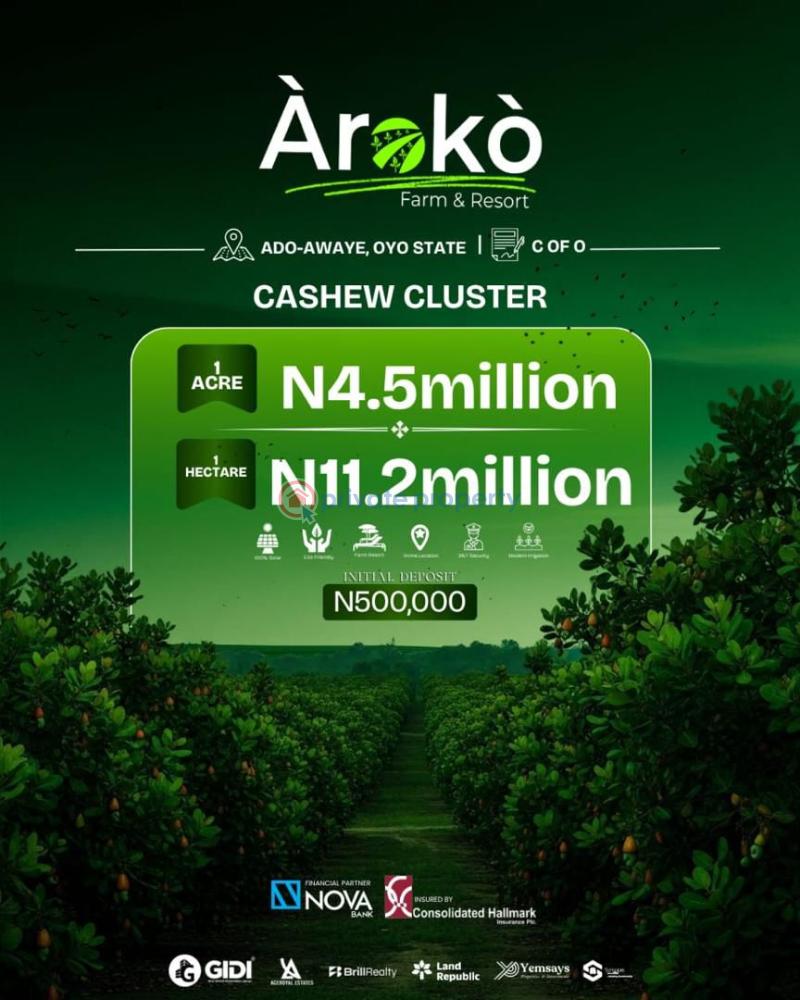Commercial Land For Sale Aroko Farm Ado Awaye Oyo Oyo  - 10