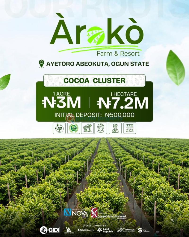 Commercial Land For Sale Ayetoro Abeokuta Abeokuta Ogun - 2