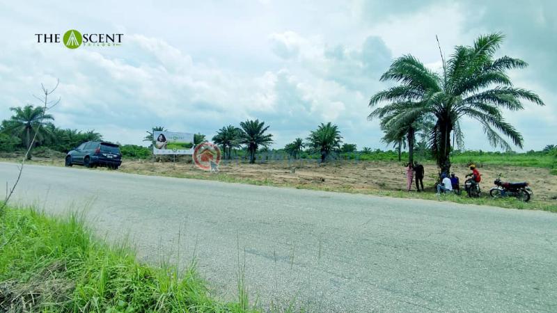 Ascent trilogy - 2 Land For Sale After Ketu/proposed Lekki Epe International Airport /government College Ketu Epe Epe Lagos - 2