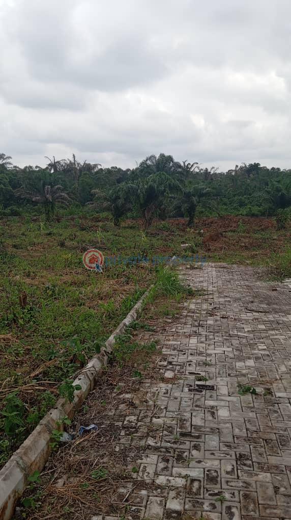 Aviance county estate | ilara epe | instant allocation - 3 Residential Land For Sale Epe Resort And Spa Yaba College Of Technology (epe Campus) Lagos State University (epe Campus) Eredo Local Government Area Lekki International Airport Michael Otedola Housing Estate Epe Lagos - 3