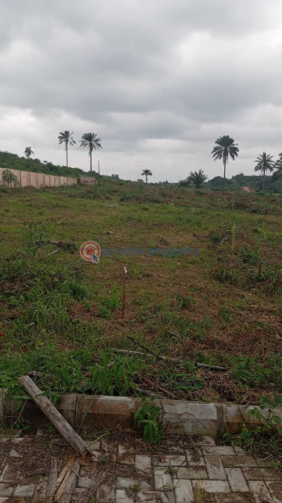 Aviance county estate | ilara epe | instant allocation - 1 Residential Land For Sale Epe Resort And Spa Yaba College Of Technology (epe Campus) Lagos State University (epe Campus) Eredo Local Government Area Lekki International Airport Michael Otedola Housing Estate Epe Lagos - 1