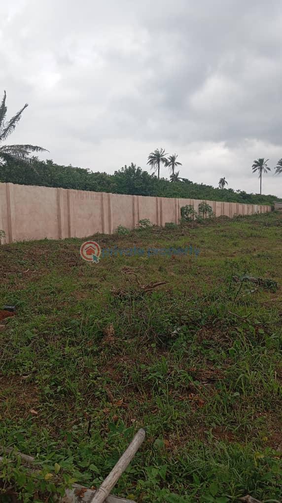 Aviance county estate | ilara epe | instant allocation - 2 Residential Land For Sale Epe Resort And Spa Yaba College Of Technology (epe Campus) Lagos State University (epe Campus) Eredo Local Government Area Lekki International Airport Michael Otedola Housing Estate Epe Lagos - 2