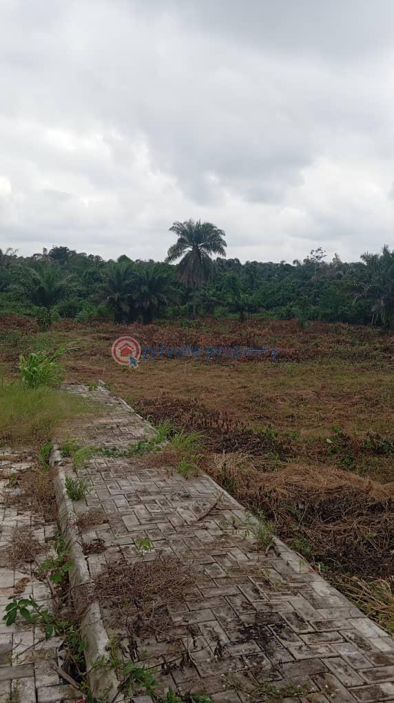 Aviance county estate | ilara epe | instant allocation - 4 Residential Land For Sale Epe Resort And Spa Yaba College Of Technology (epe Campus) Lagos State University (epe Campus) Eredo Local Government Area Lekki International Airport Michael Otedola Housing Estate Epe Lagos - 4