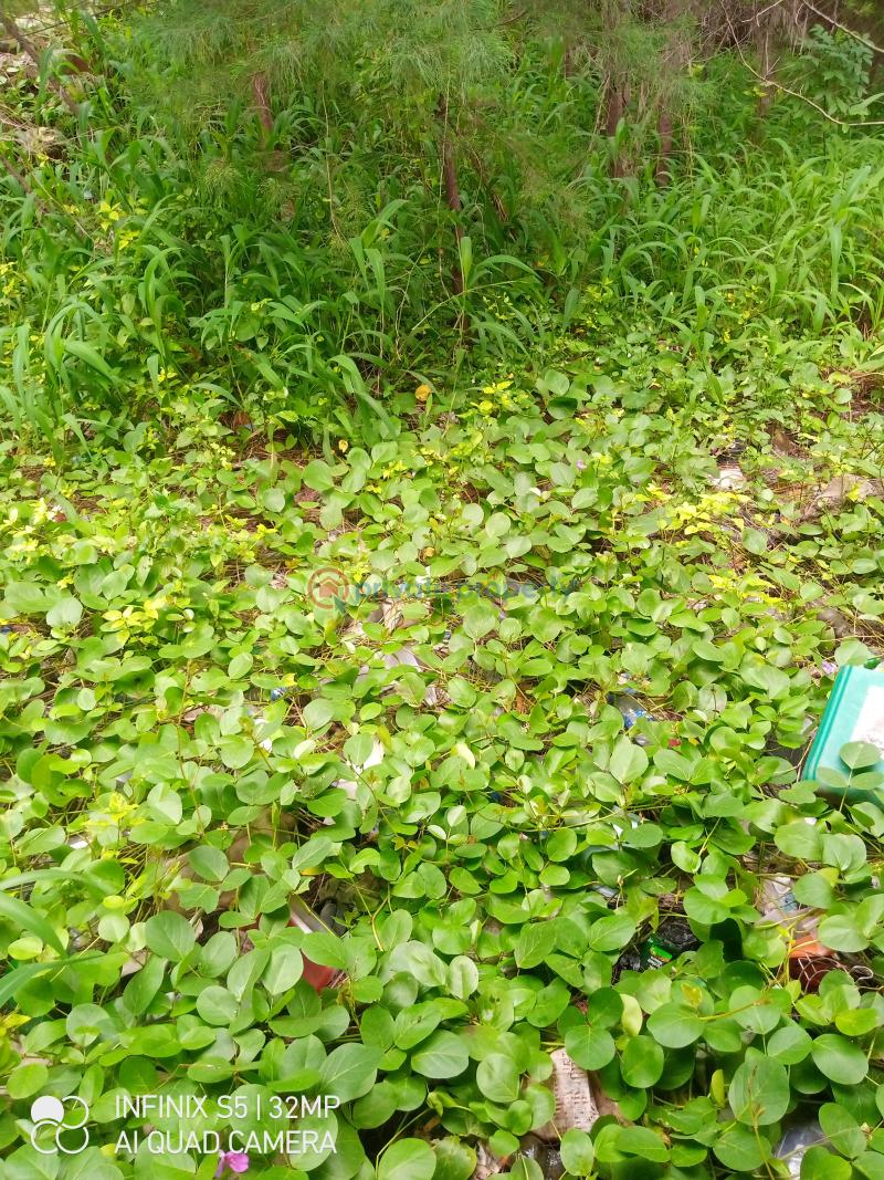 Mixed use Land For Sale Bela Vista Estate Lekki Phase 1 Lagos - 1