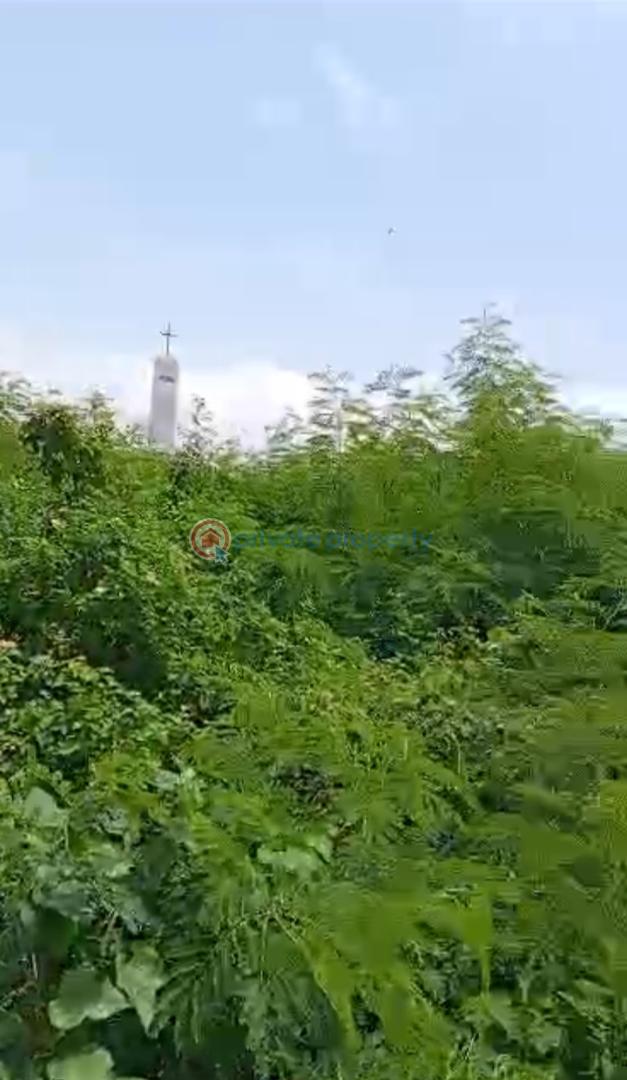 Land For Sale Along Yetunde Brown, Ifako-Gbagada Lagos