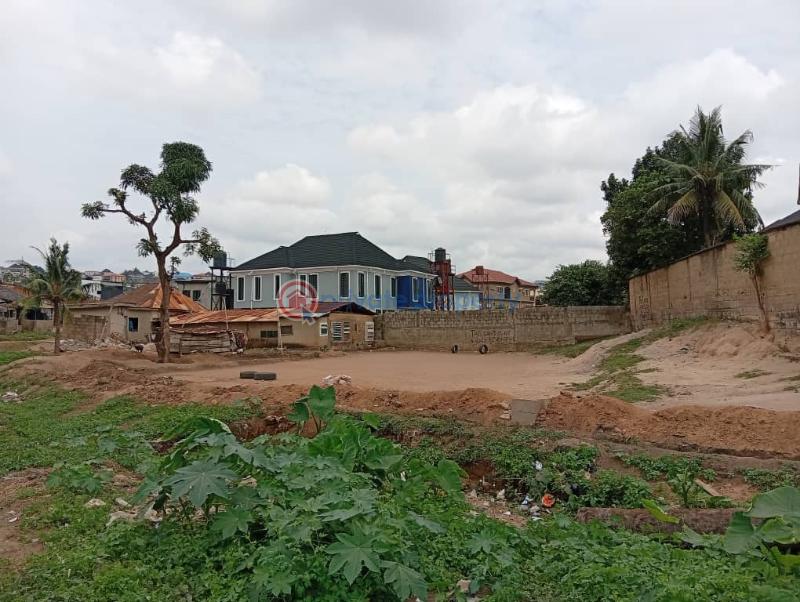 Residential Land For Sale Yetunde Morgan Estate Ojodu Lagos