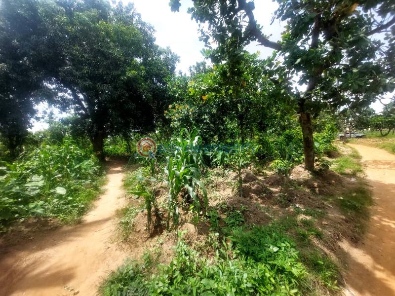 Residential Land For Sale After Zavati Estate 2 Dakibiyu Abuja Phase 2  - 1