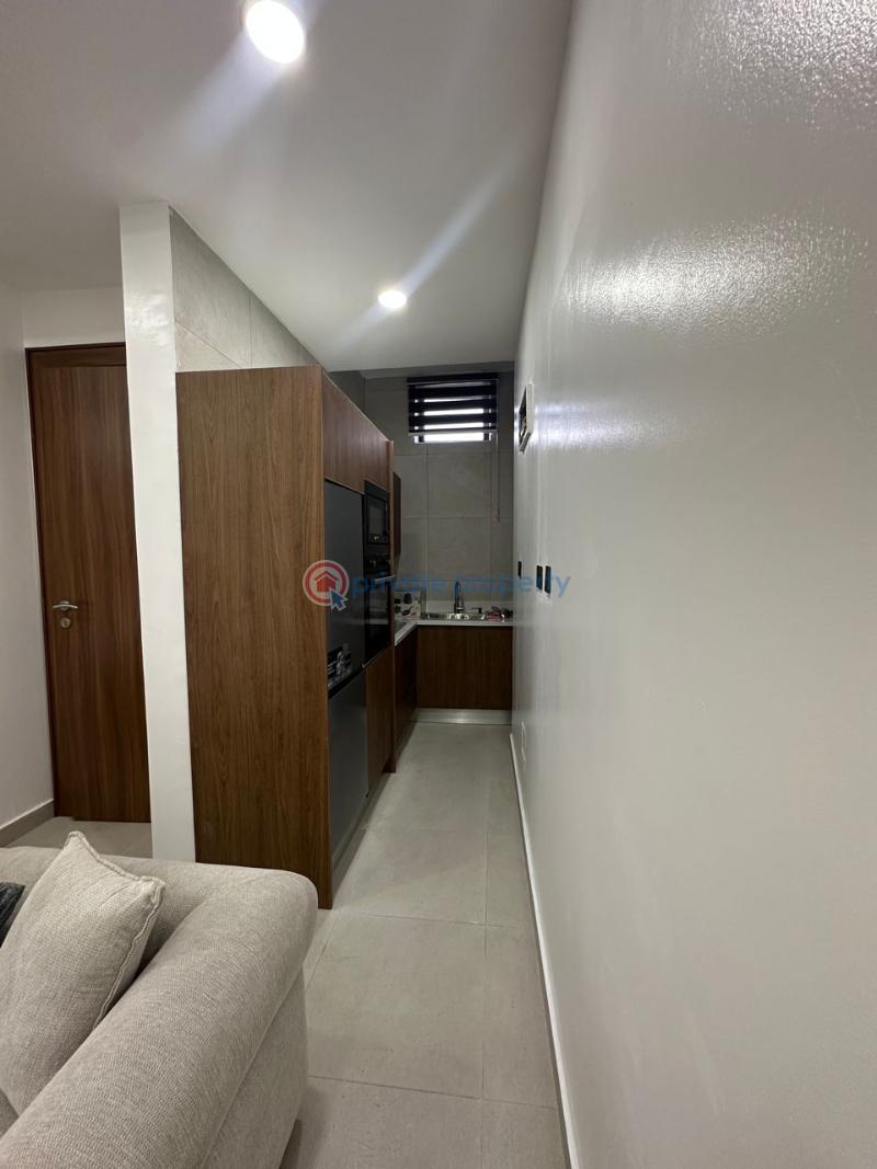 4 bedroom Shared Apartment Short let Ikoyi Lagos - 9