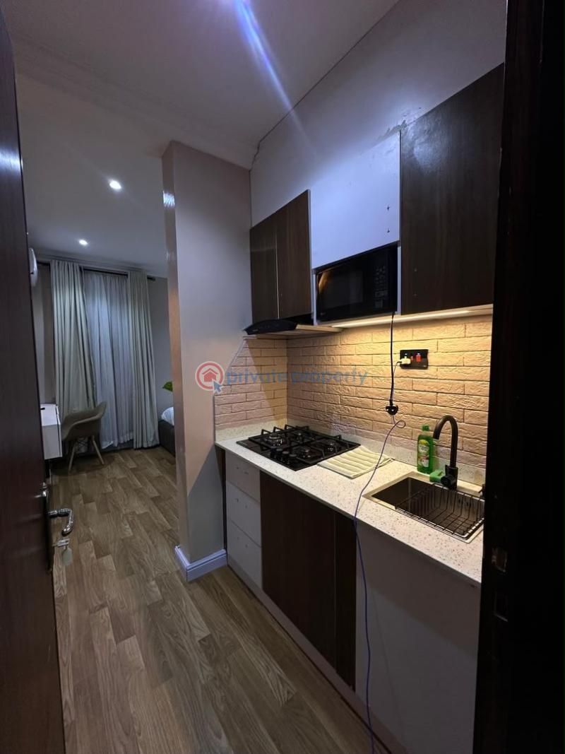 1 bedroom Studio Apartment Short let Ikoyi Lagos - 0