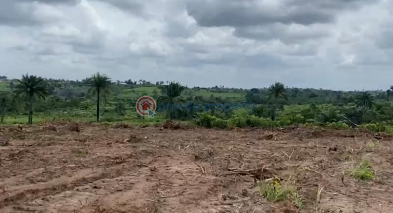 Residential Land For Sale Epe Ijebu Epe Lagos - 6