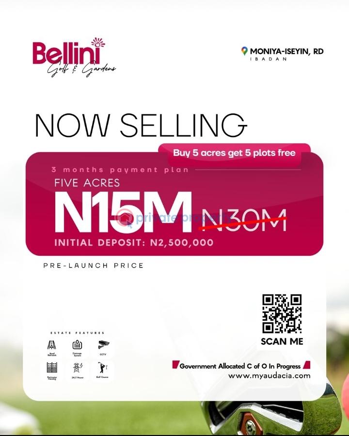 Land For Sale Moniya, Ibadan. Moniya Ibadan Oyo - 5