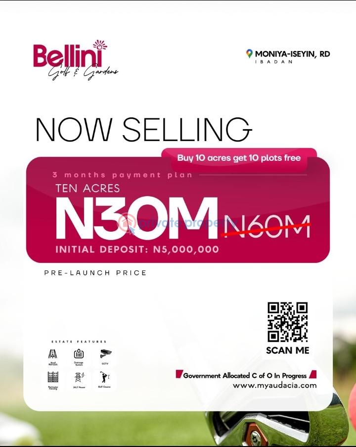 Land For Sale Moniya, Ibadan. Moniya Ibadan Oyo - 4