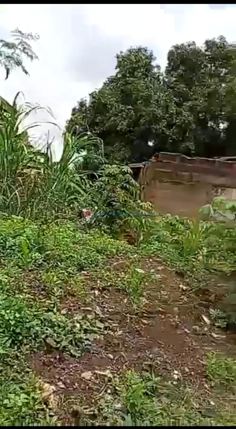 Mixed use Land For Sale Off Benoni Tarred Road, Along Oyaide Tarred Road Benin Edo - 1