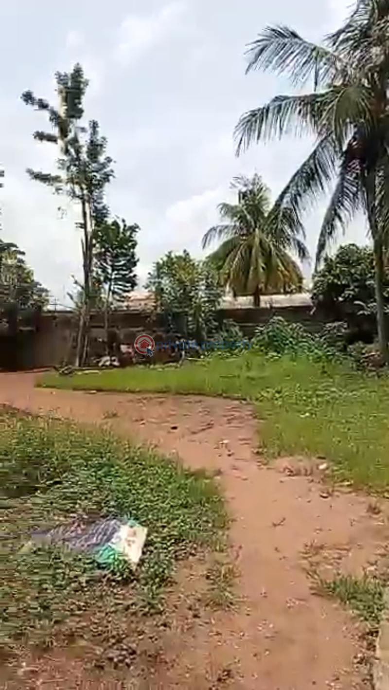 Mixed use Land For Sale Off Benoni Tarred Road, Along Oyaide Tarred Road Benin Edo - 0