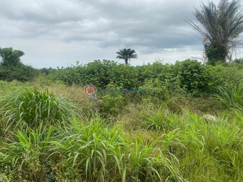 Residential Land For Sale Alasia Village Elerangbe Road. Eleran Igbe Ibeju-Lekki Lagos - 2