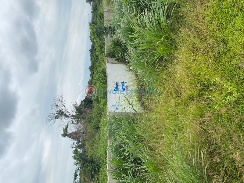 Residential Land For Sale Alasia Village Elerangbe Road. Eleran Igbe Ibeju-Lekki Lagos - 1