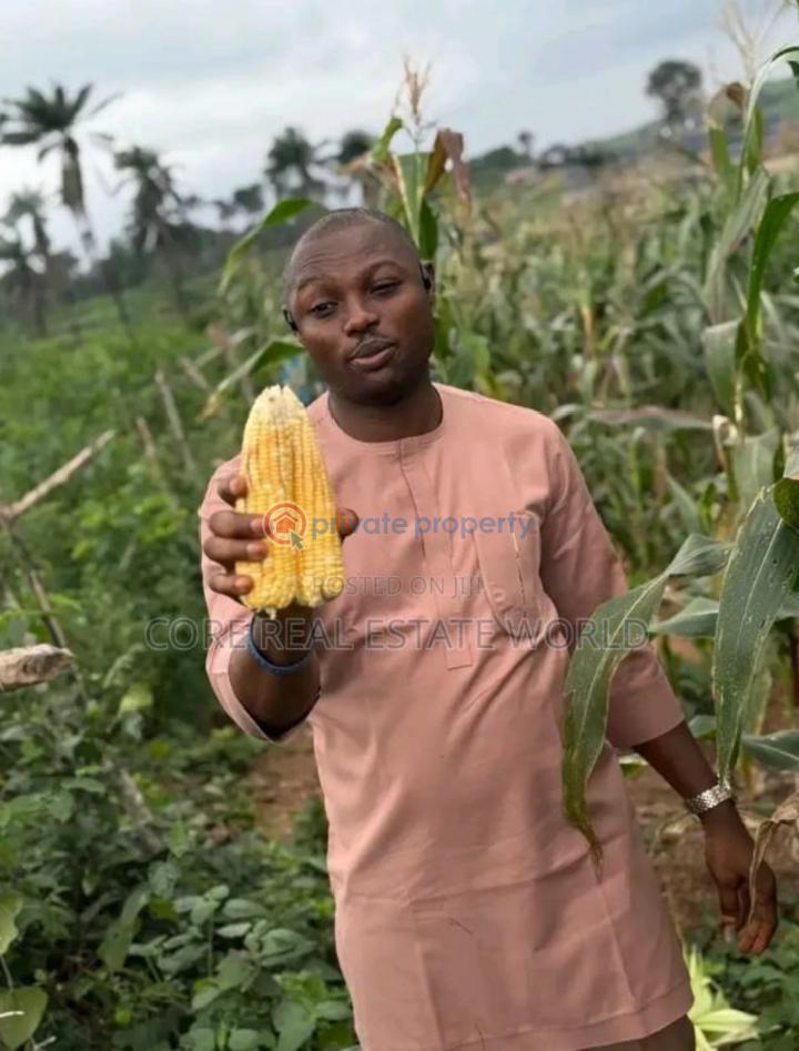 Mixed use Land For Sale Obafemi Owode Ogun - 1