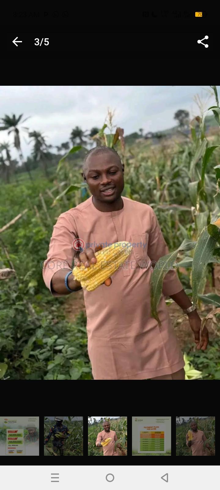 Mixed use Land For Sale Obafemi Owode Ogun - 2