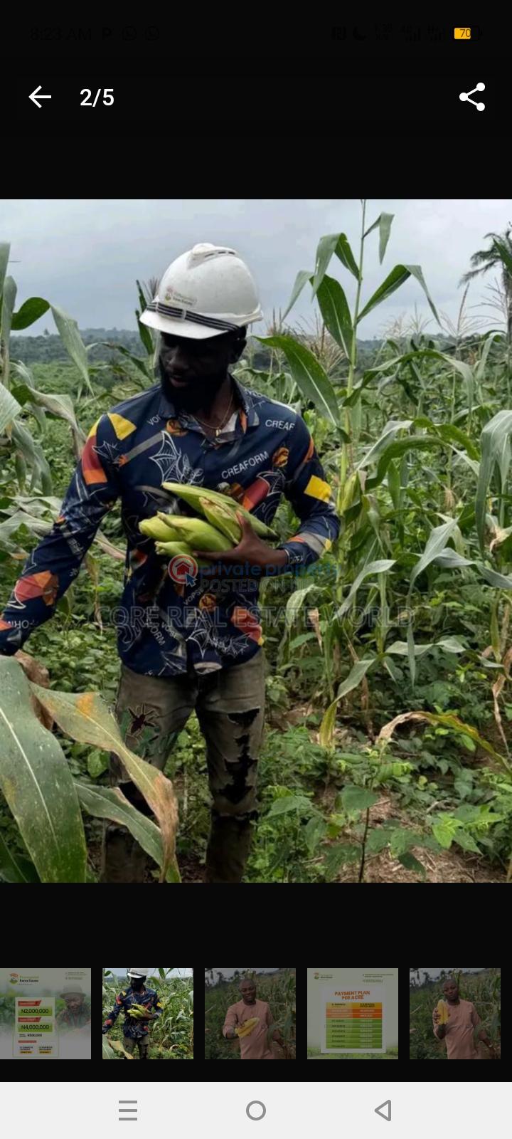 Mixed use Land For Sale Obafemi Owode Ogun - 3