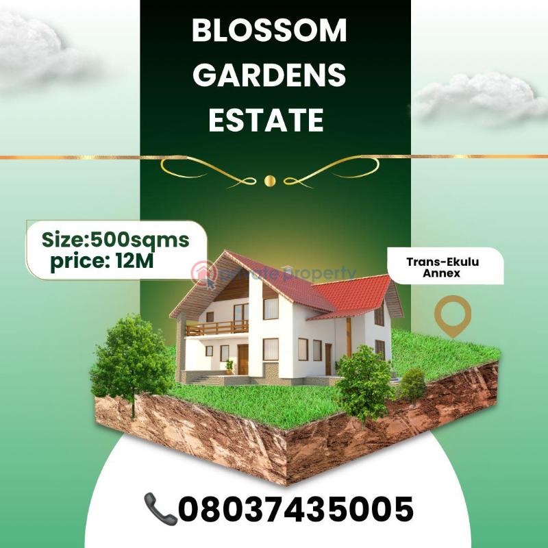 Residential Land For Sale Trans Ekulu Annex Extension Enugu Area 