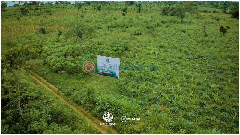 Mixed use Land For Sale Itesi Alagbe Odeda Abeokuta Ogun - 1