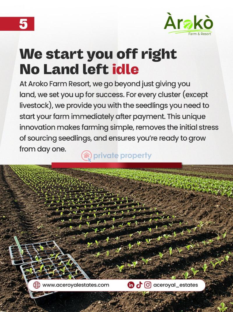 Mixed use Land For Sale Ayetoro Abeokuta, Ogun State. Abeokuta Ogun - 15