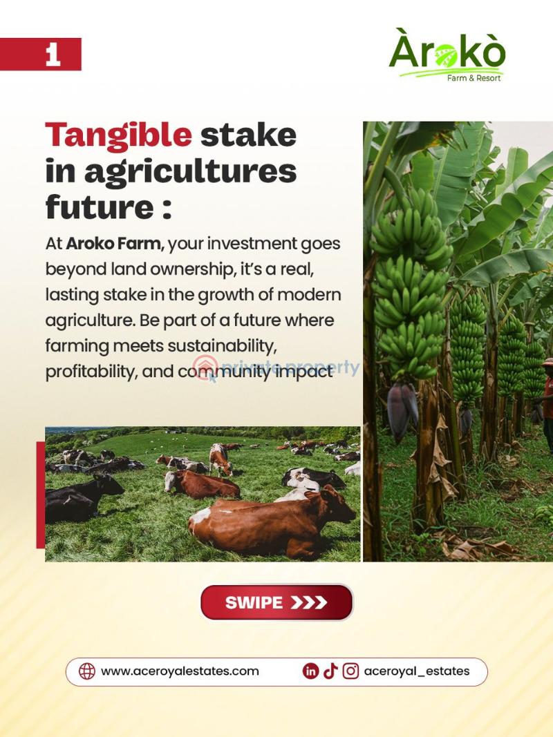 Mixed use Land For Sale Ayetoro Abeokuta, Ogun State. Abeokuta Ogun - 11