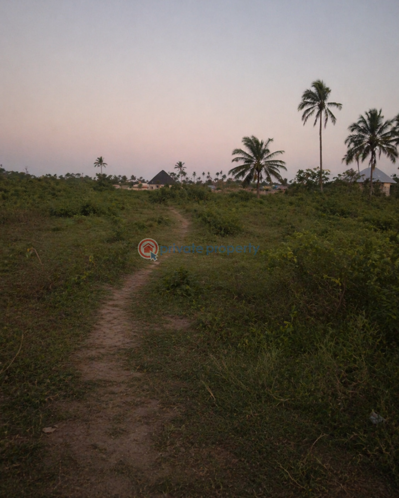 Commercial Property For Sale Chinyere Maternity Road, Eneka, Port Harcourt Eneka Port Harcourt Rivers - 4