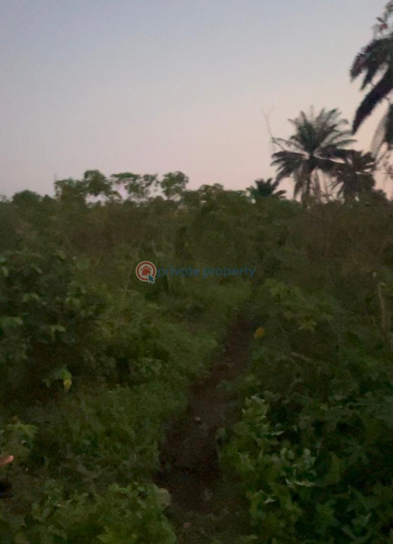 Commercial Property For Sale Chinyere Maternity Road, Eneka, Port Harcourt Eneka Port Harcourt Rivers - 9