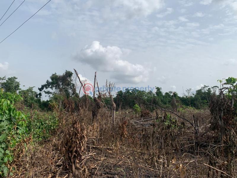 Mixed use Land For Sale Epe Resort Epe Lagos - 3