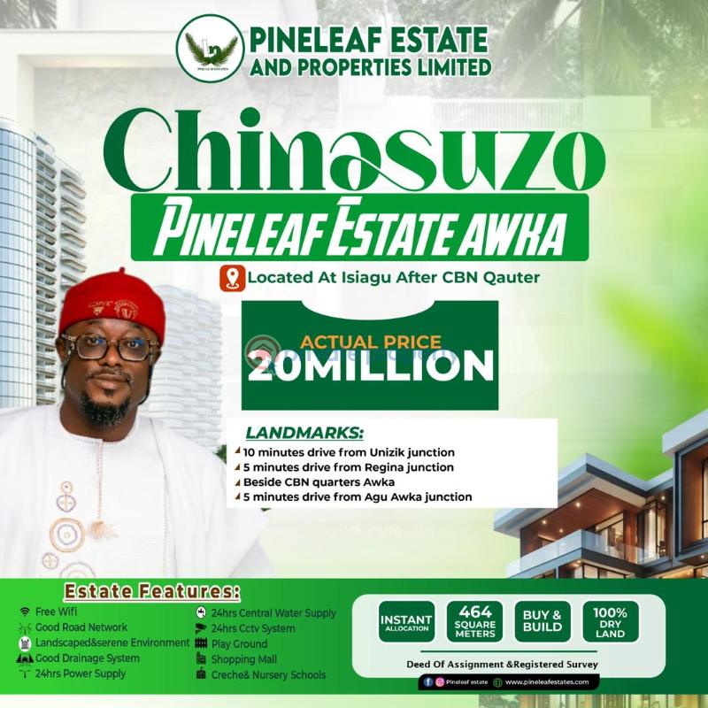 Mixed use Land For Sale Isiagu Town And 10 Mins From Unizik Junction Awka South Anambra - 0
