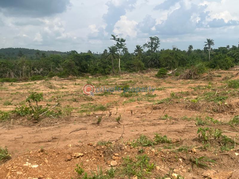 Mixed use Land For Sale Ogbaku Onitsha Owerri Express Owerri Imo - 4