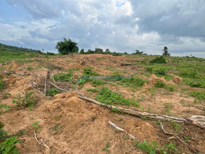 Mixed use Land For Sale Ogbaku Onitsha Owerri Express Owerri Imo - 1