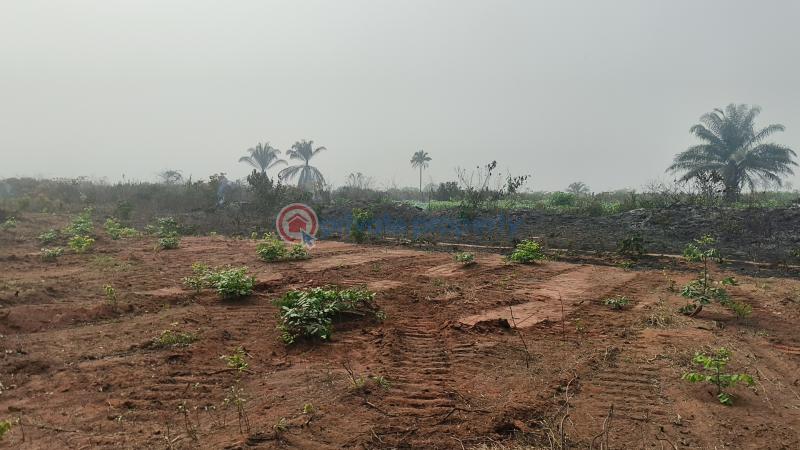 Land For Sale Silverpark Estates Behind British International School, Nibo Isiagwu Awka. Awka South Anambra - 5