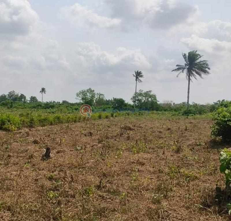 Mixed use Land For Sale New City Estate Okwu Ogbaku Off Onitsha Owerri Road Mbaitoli Imo - 4