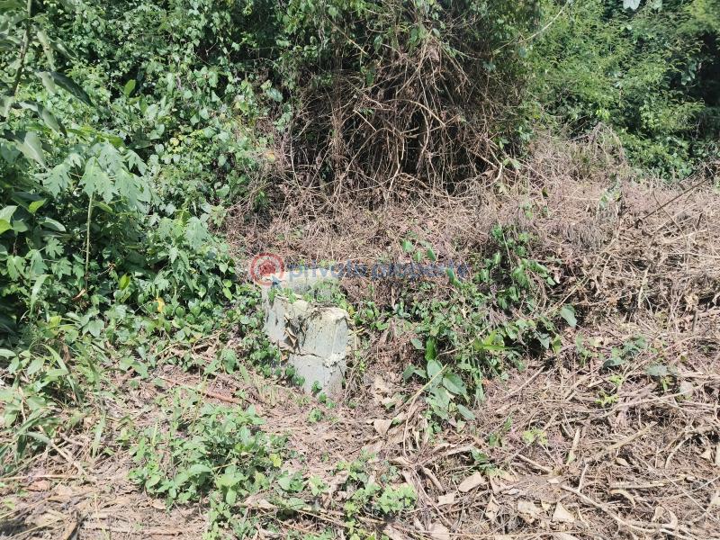 Mixed use Land For Sale Stephen Richard Homes Behind Niger Biscuit Ikorodu Sagamu Road Sagamu Ogun - 2