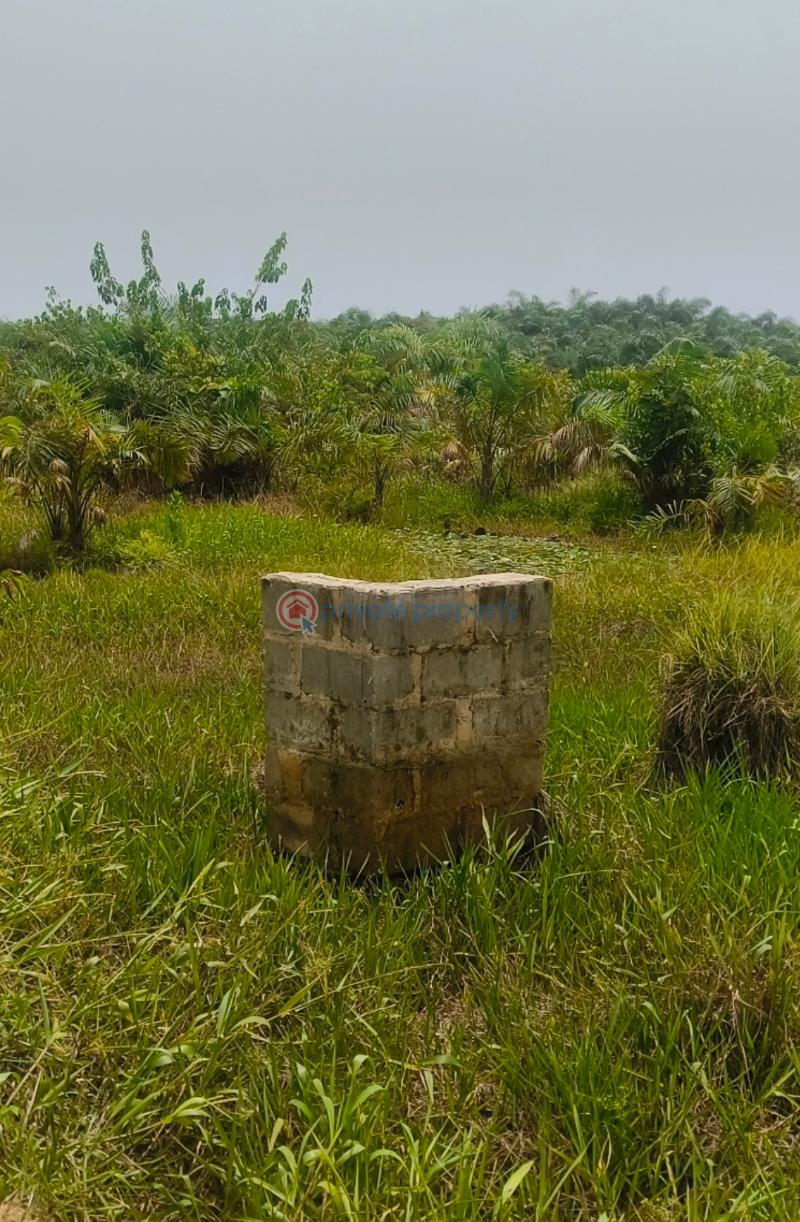 Mixed use Land For Sale David's Grace Towers Igboye Town Epe Lagos - 10