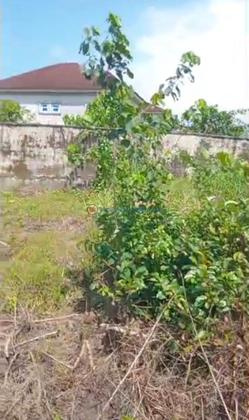 Residential Land For Sale Grenadine Estate Monastery Road Sangotedo Ajah Lagos - 7