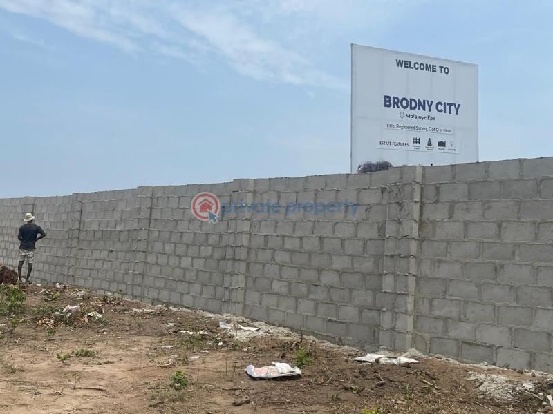 Land For Sale Molajoye Epe Epe Lagos - 3