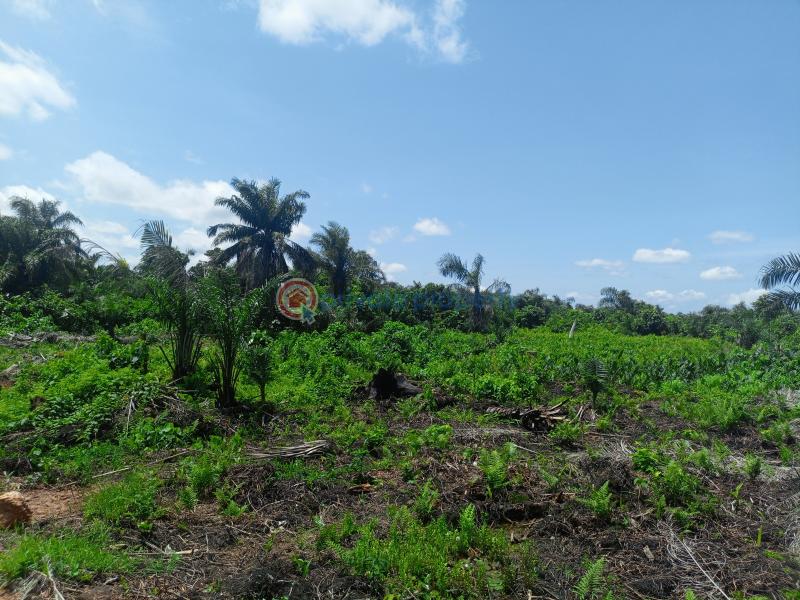 Buy and build land in epe - 1 Residential Land For Sale The Bright City Odo Egiri Epe Epe Lagos - 1