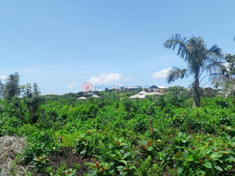 Buy and build land in epe - 1 Residential Land For Sale The Bright City Odo Egiri Epe Epe Lagos - 1