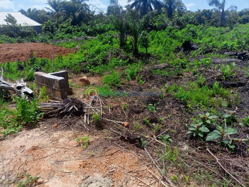 Residential Land For Sale Edede Epe Lagos - 2