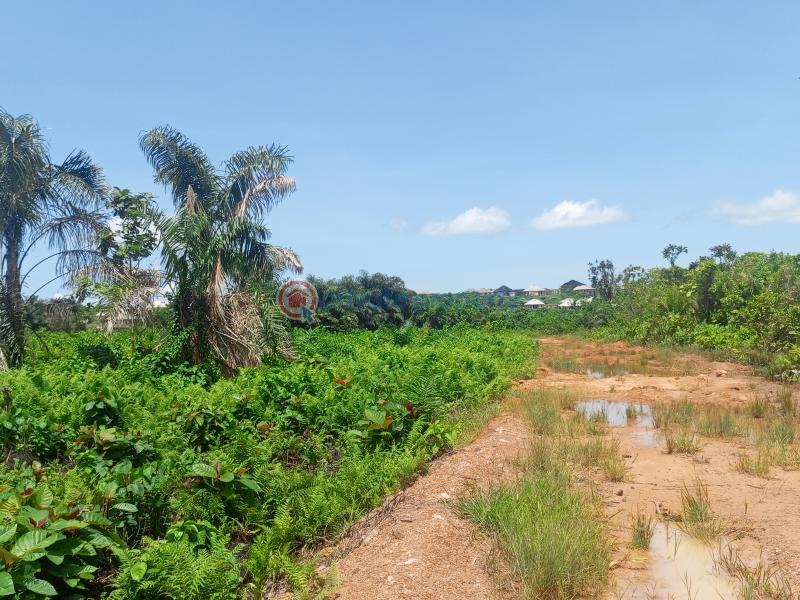 Residential Land For Sale Edede Epe Lagos - 0