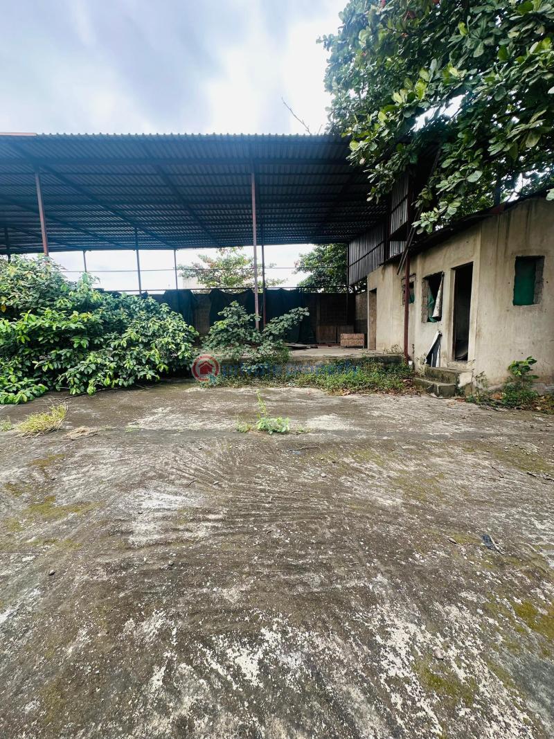 Land For Sale Agidinbgi Ikeja Lagos - 1
