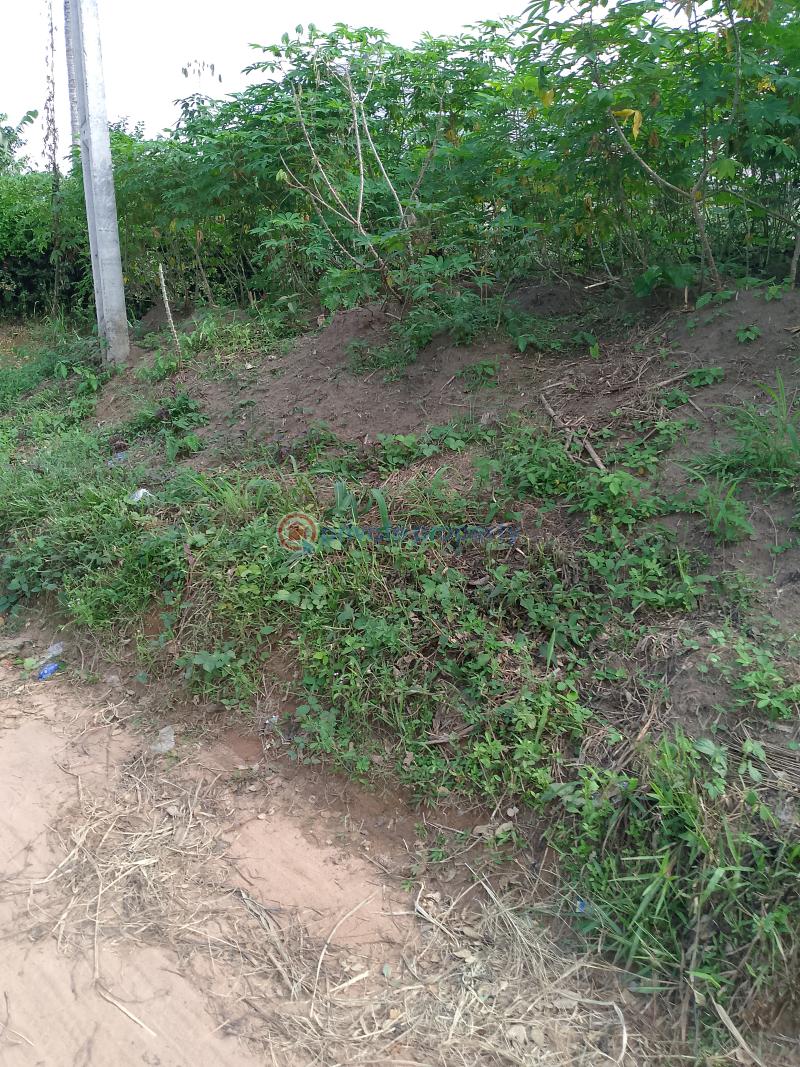 Land For Sale Atuma, Otulu Asaba Oshimili North Delta
