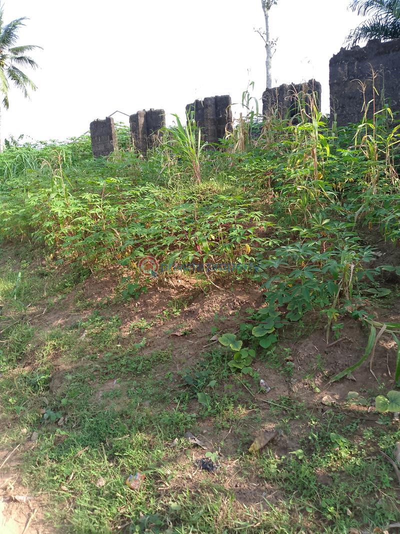 Land For Sale Ngor Okpala Directly Opposite Tony Chukwu's Manufacturing Company, Beside Zion Ministry Permanent Site Ngor-Okpala Imo