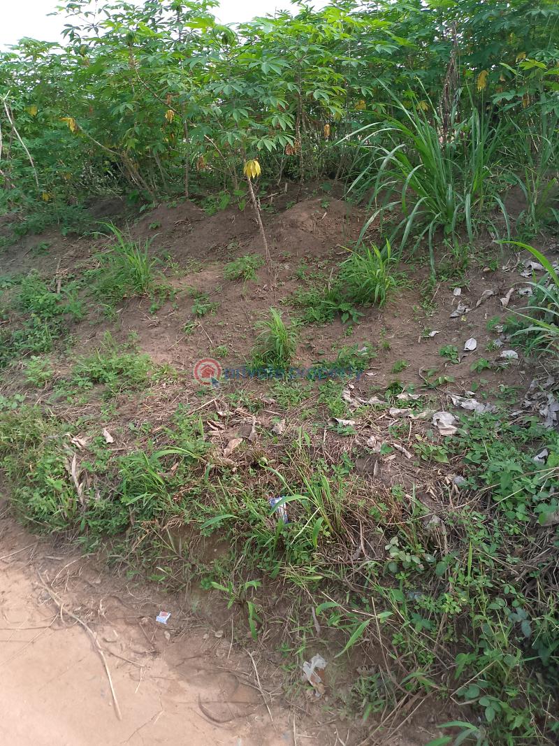 Land For Sale Ngor Okpala Directly Opposite Tony Chukwu's Manufacturing Company, Beside Zion Ministry Permanent Site Ngor-Okpala Imo