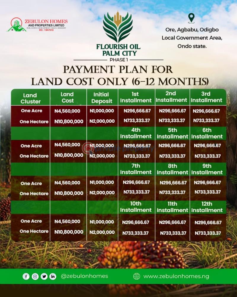 Commercial Land For Sale Flourish Oil Palm City Phase 1 Selling Fast Odigbo Ondo - 1